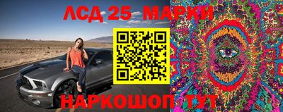 сатива Можга